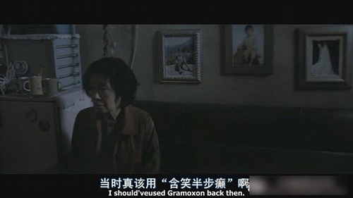 字幕翻譯怎么做？